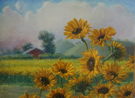 Italian Sunset. Sunflowers