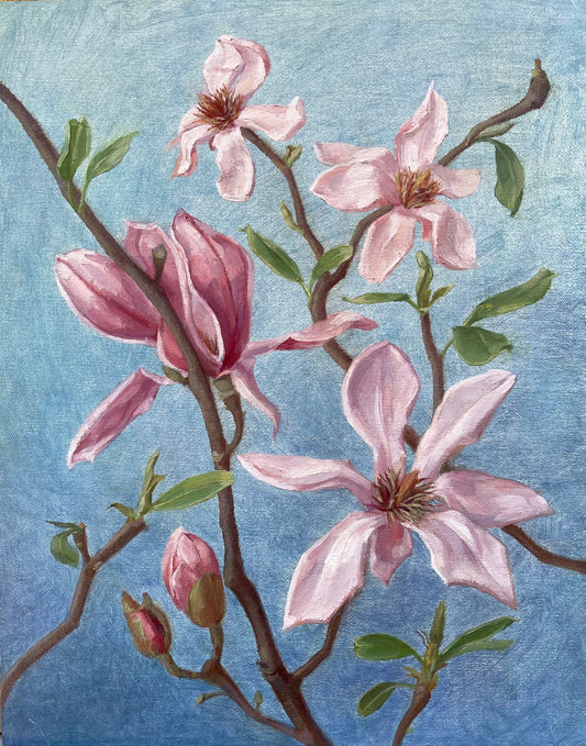 Magnolia