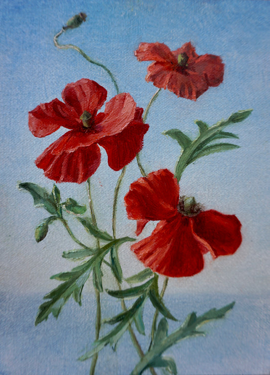 Small Red Poppies