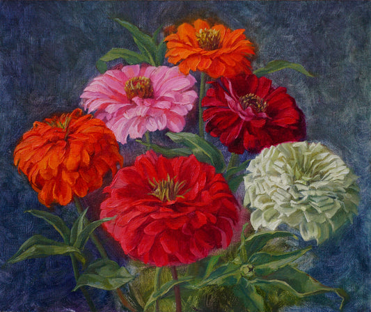 Zinnias