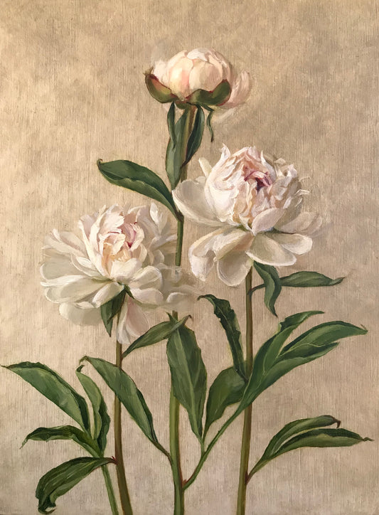 Peonies