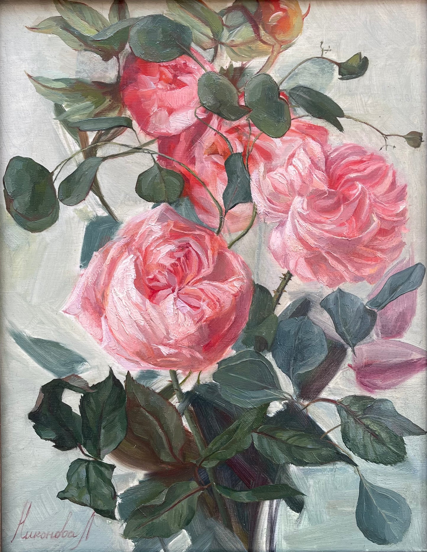 Garden Roses