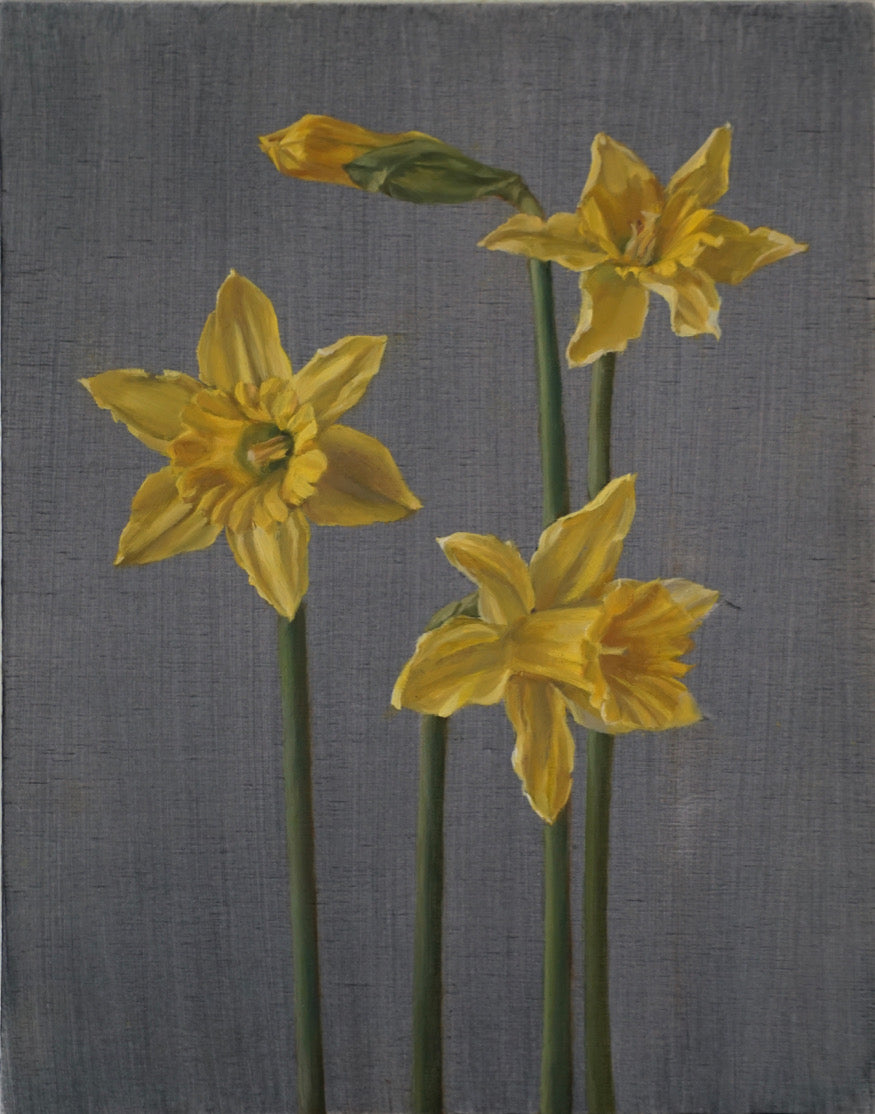 Daffodils