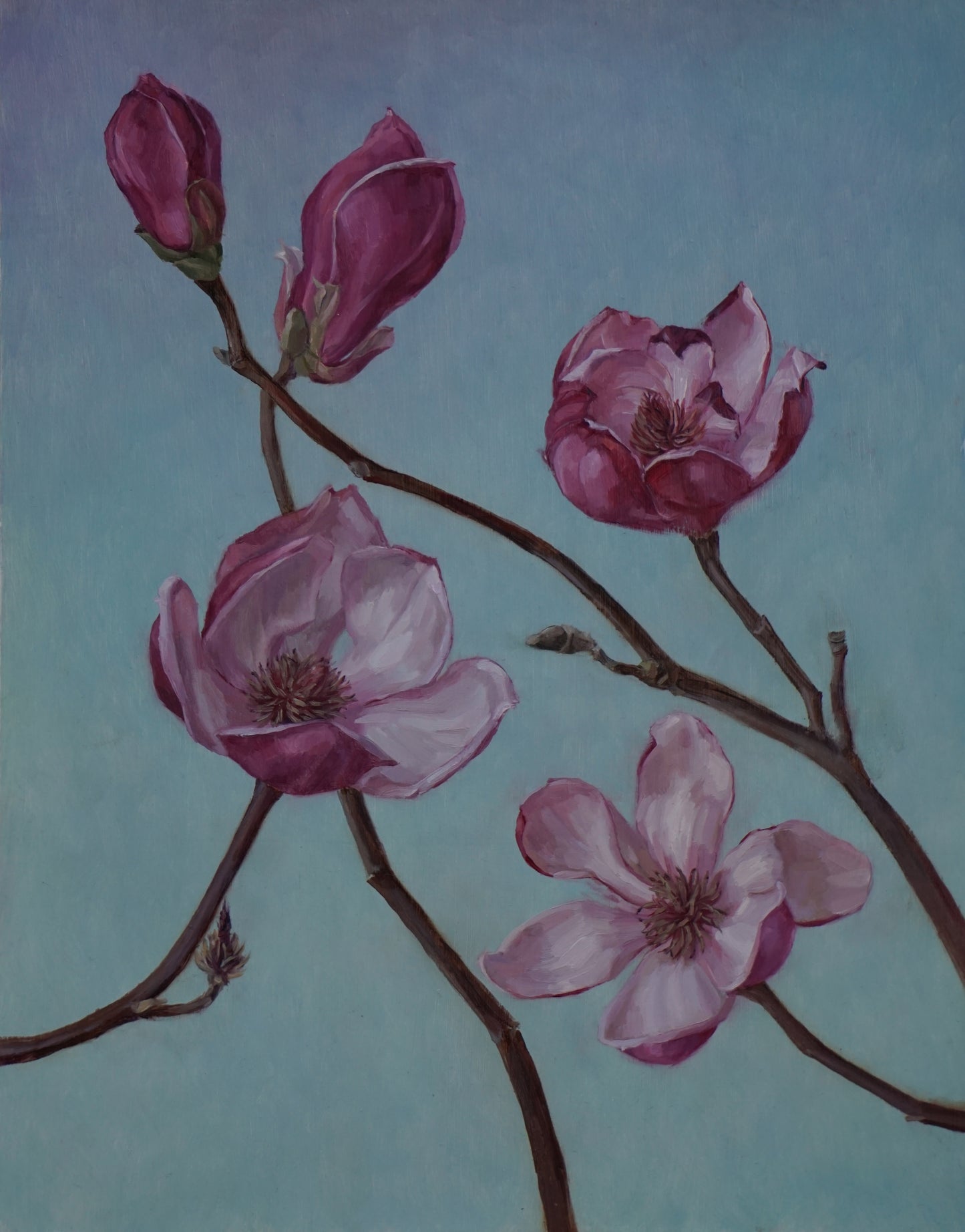 Magnolia