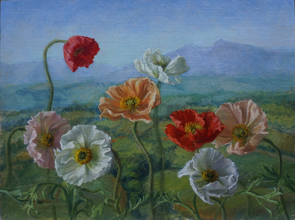 Spring Poppies