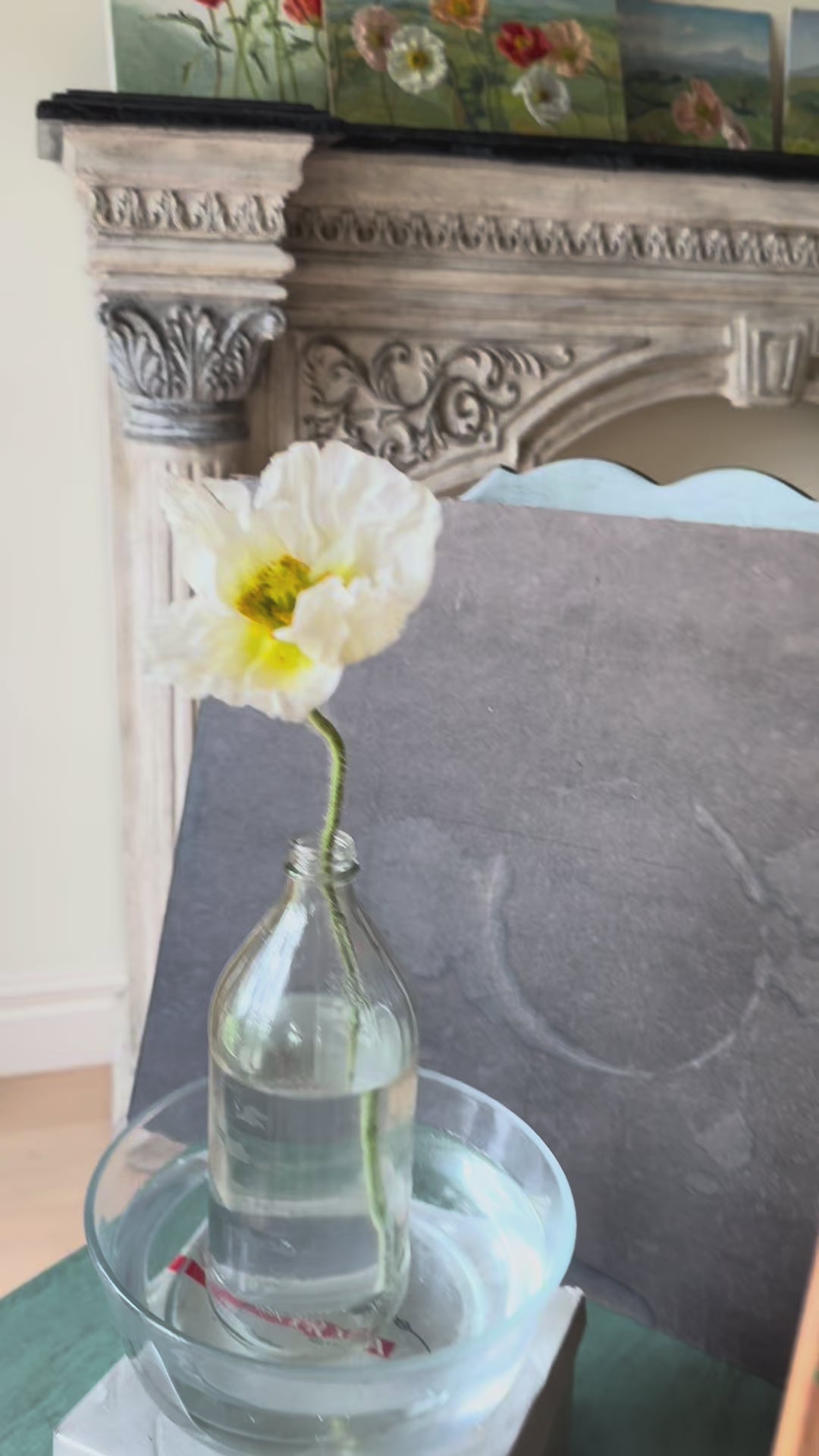 White Poppies