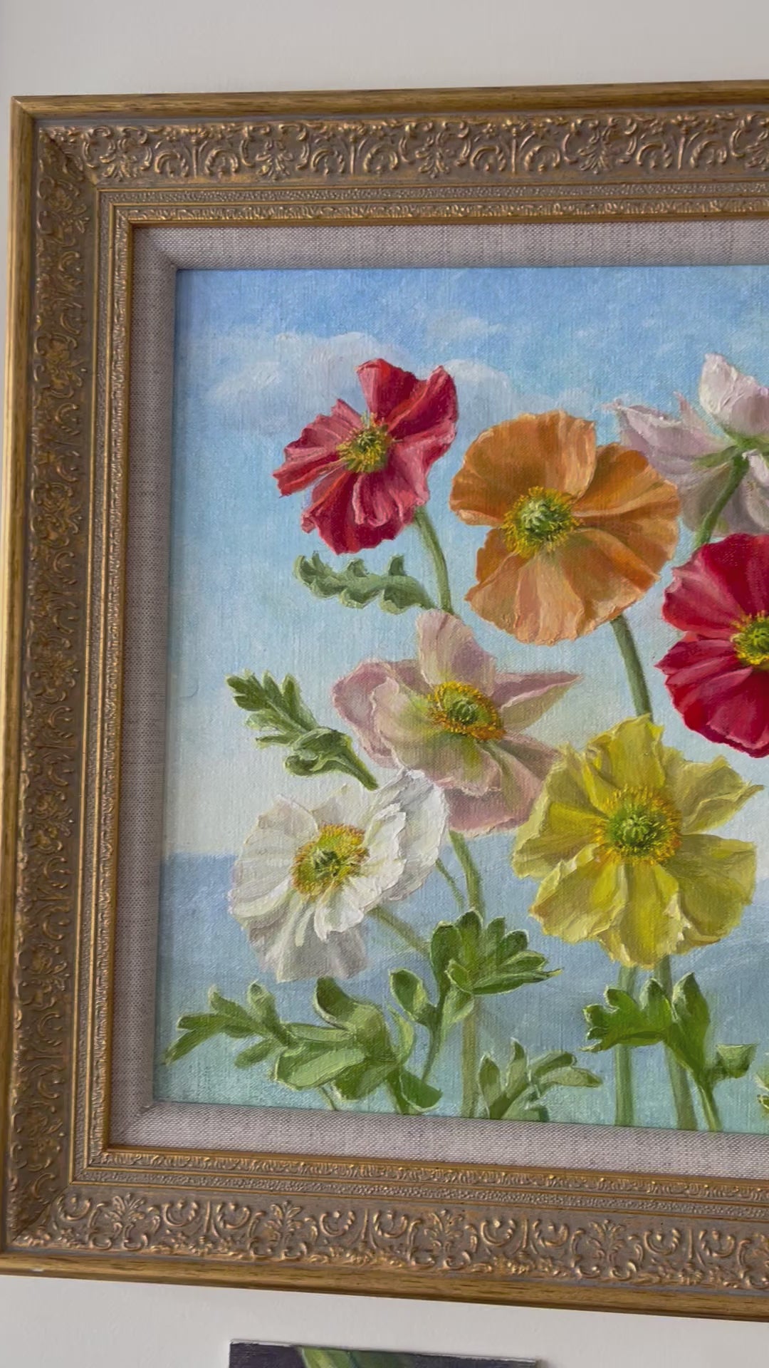 Colourful Poppies
