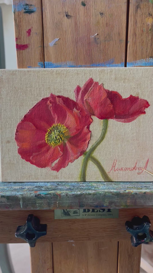 Red Poppies